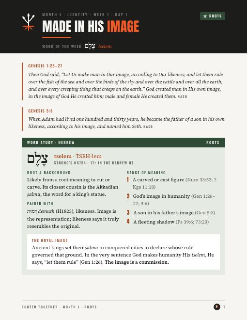 First page of Made in His Image