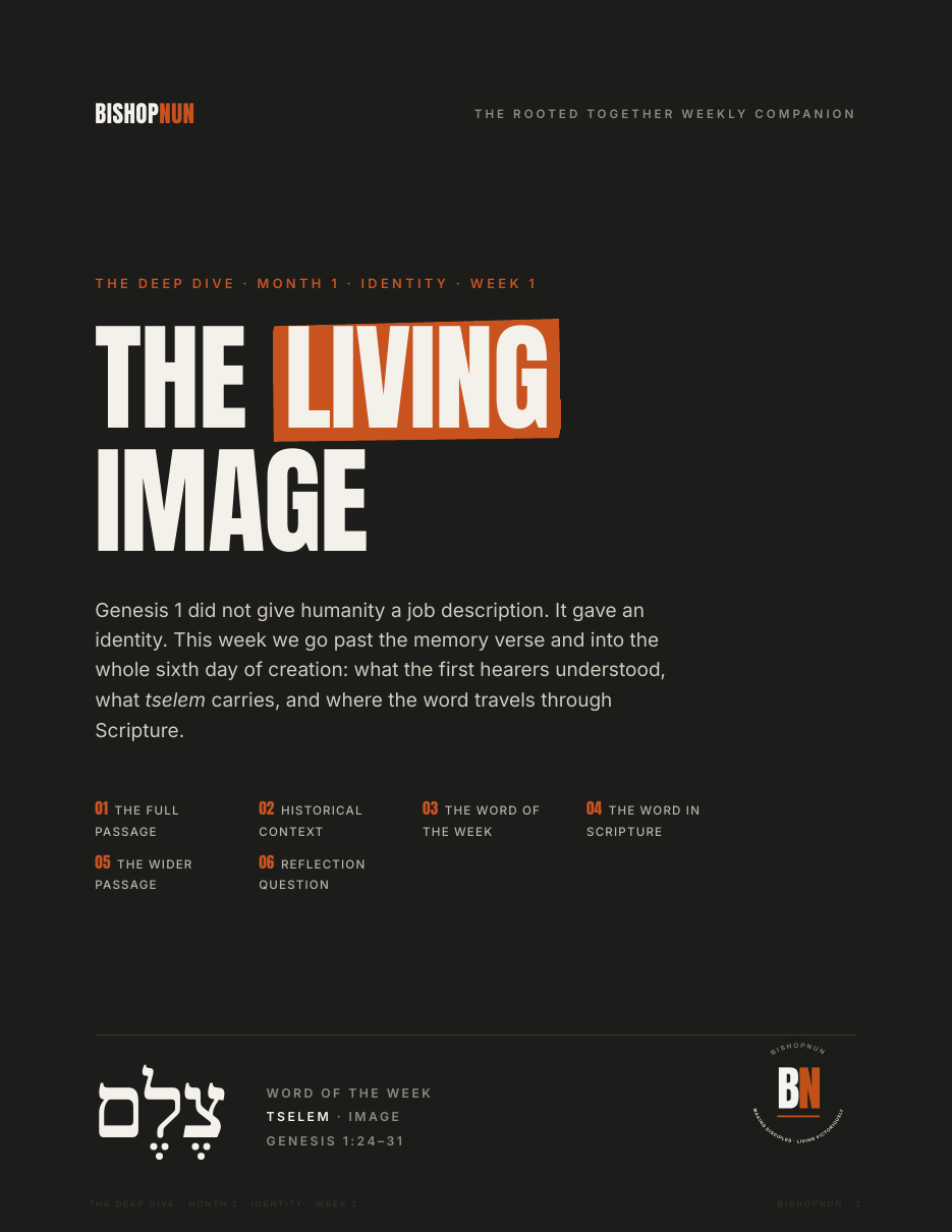 First page of The Living Image